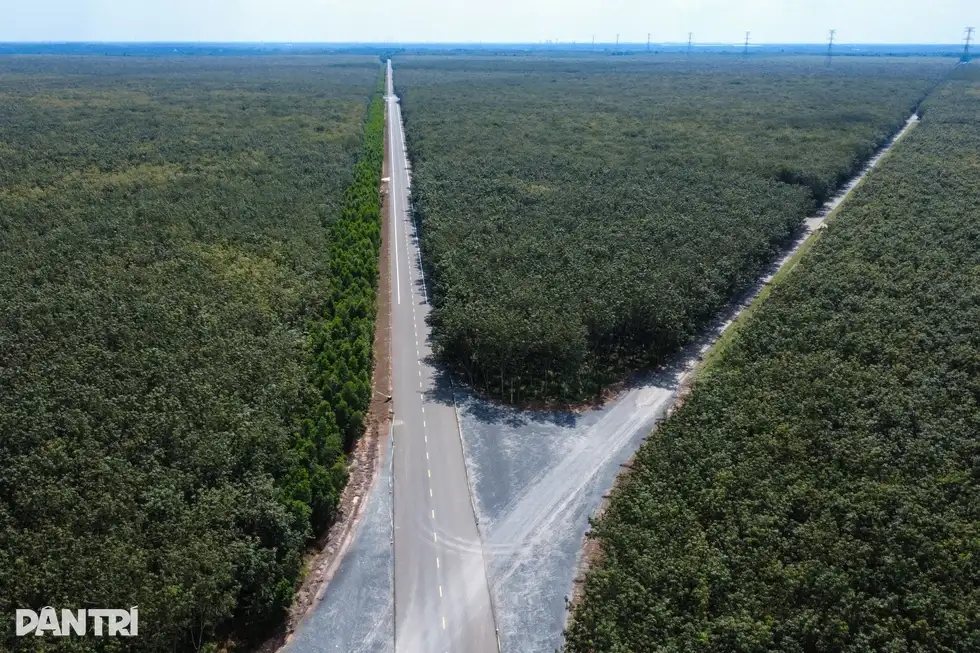 Tây Ninh huy động mọi nguồn lực xây dựng hạ tầng giao thông đồng bộ